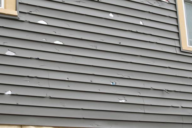 Best Same-Day Junk Removal Services  in Cecilia, LA