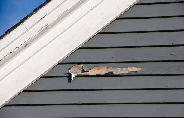 Best Hoarding Cleanup  in Cecilia, LA